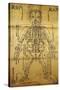 Chinese Acupuncture Chart Printed In Japan-Okamoto Ippo-Stretched Canvas