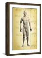 Chinese Acupuncture Model-Doncaster and Bassetlaw-Framed Photographic Print