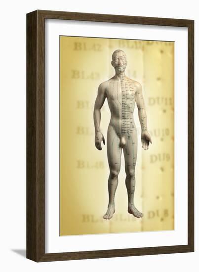 Chinese Acupuncture Model-Doncaster and Bassetlaw-Framed Photographic Print