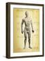 Chinese Acupuncture Model-Doncaster and Bassetlaw-Framed Photographic Print