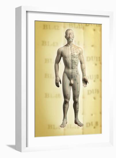 Chinese Acupuncture Model-Doncaster and Bassetlaw-Framed Photographic Print