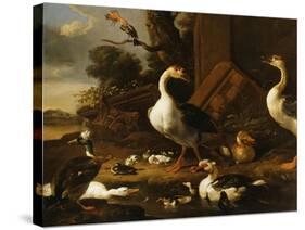 Chinese and Egyptian Geese and Other Birds in a Landscape with Ruins Nearby-Melchior de Hondecoeter-Stretched Canvas