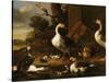 Chinese and Egyptian Geese and Other Birds in a Landscape with Ruins Nearby-Melchior de Hondecoeter-Stretched Canvas