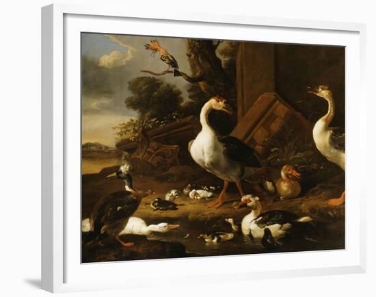 Chinese and Egyptian Geese and Other Birds in a Landscape with Ruins Nearby-Melchior de Hondecoeter-Framed Giclee Print