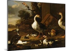 Chinese and Egyptian Geese and Other Birds in a Landscape with Ruins Nearby-Melchior de Hondecoeter-Mounted Giclee Print