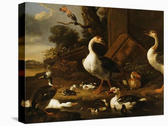 Chinese and Egyptian Geese and Other Birds in a Landscape with Ruins Nearby-Melchior de Hondecoeter-Stretched Canvas