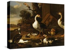 Chinese and Egyptian Geese and Other Birds in a Landscape with Ruins Nearby-Melchior de Hondecoeter-Stretched Canvas