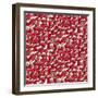 Chinese Animals Red-Sharon Turner-Framed Art Print