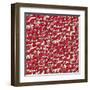 Chinese Animals Red-Sharon Turner-Framed Art Print