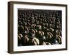 Chinese Army-Carl Mydans-Framed Photographic Print