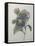 Chinese Aster-Pierre-Joseph Redoute-Framed Stretched Canvas