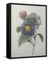 Chinese Aster-Pierre-Joseph Redoute-Framed Stretched Canvas