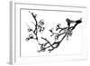 Chinese Black And White Traditional Ink Painting, Plum Blossom On White Background-elwynn-Framed Art Print