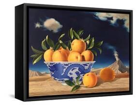 Chinese Bowl of Oranges, 2014-ELEANOR FEIN FEIN-Framed Stretched Canvas
