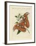 Chinese Butterflies-null-Framed Giclee Print