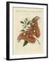 Chinese Butterflies-null-Framed Giclee Print