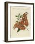 Chinese Butterflies-null-Framed Giclee Print