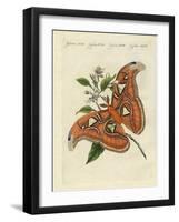 Chinese Butterflies-null-Framed Giclee Print