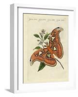 Chinese Butterflies-null-Framed Giclee Print