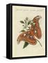 Chinese Butterflies-null-Framed Stretched Canvas