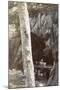 Wood Mount