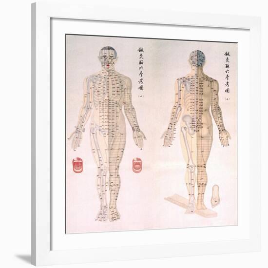 Chinese Chart of Acupuncture Points on a Male Body, 1956-null-Framed Art Print