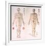 Chinese Chart of Acupuncture Points on a Male Body, 1956-null-Framed Art Print