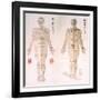 Chinese Chart of Acupuncture Points on a Male Body, 1956-null-Framed Art Print