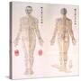 Chinese Chart of Acupuncture Points on a Male Body, 1956-null-Stretched Canvas