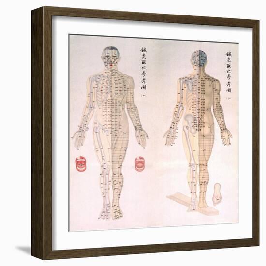 Chinese Chart of Acupuncture Points on a Male Body, 1956-null-Framed Art Print