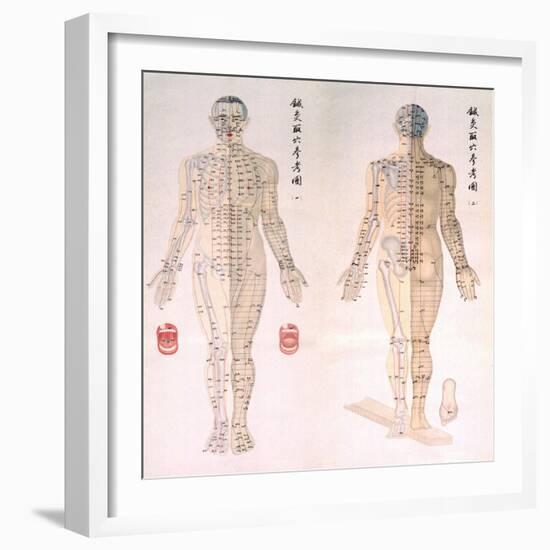 Chinese Chart of Acupuncture Points on a Male Body, 1956-null-Framed Art Print