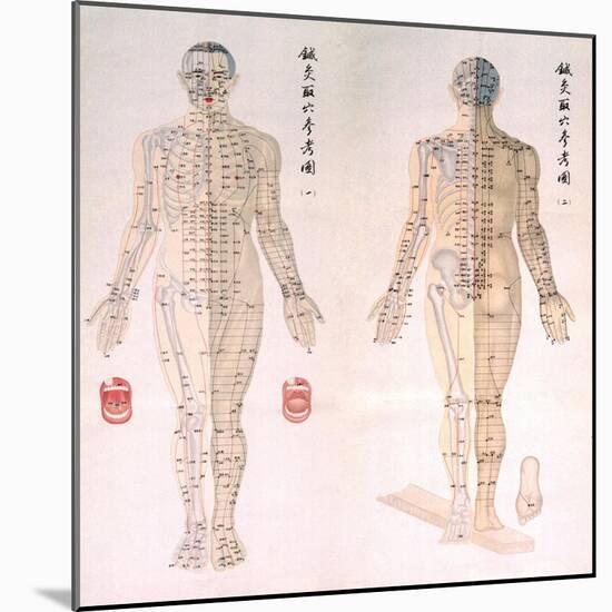 Chinese Chart of Acupuncture Points on a Male Body, 1956-null-Mounted Art Print