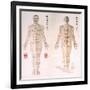 Chinese Chart of Acupuncture Points on a Male Body, 1956-null-Framed Art Print