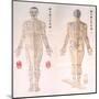 Chinese Chart of Acupuncture Points on a Male Body, 1956-null-Mounted Art Print