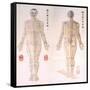 Chinese Chart of Acupuncture Points on a Male Body, 1956-null-Framed Stretched Canvas