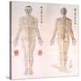 Chinese Chart of Acupuncture Points on a Male Body, 1956-null-Stretched Canvas