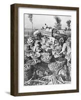 Chinese Cooking; Vegetables for the City of Shanghai, 1959-Chinese Photographer-Framed Photographic Print