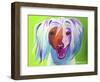 Chinese Crested - Grin-Dawgart-Framed Giclee Print