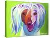 Chinese Crested - Grin-Dawgart-Stretched Canvas