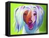 Chinese Crested - Grin-Dawgart-Framed Stretched Canvas