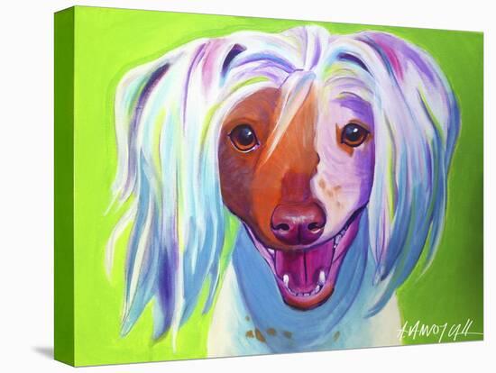 Chinese Crested - Grin-Dawgart-Stretched Canvas