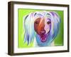 Chinese Crested - Grin-Dawgart-Framed Giclee Print