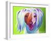 Chinese Crested - Grin-Dawgart-Framed Giclee Print