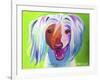 Chinese Crested - Grin-Dawgart-Framed Giclee Print