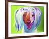 Chinese Crested - Grin-Dawgart-Framed Giclee Print