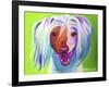 Chinese Crested - Grin-Dawgart-Framed Giclee Print