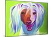 Chinese Crested - Grin-Dawgart-Mounted Giclee Print