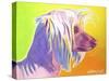 Chinese Crested - Profile-Dawgart-Stretched Canvas