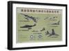 Chinese Cultural Revolution American Air Force Aircraft Spotter's Guide-null-Framed Giclee Print