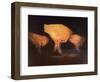 Chinese Dancers, 2010-Lincoln Seligman-Framed Giclee Print